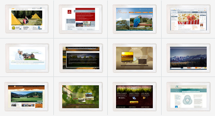 Website Design & Development Gallery